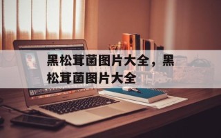 黑松茸菌图片大全，黑松茸菌图片大全