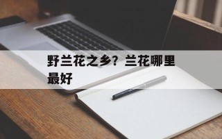 野兰花之乡？兰花哪里最好