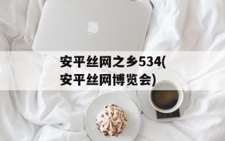安平丝网之乡534(安平丝网博览会)