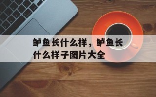 鲈鱼长什么样，鲈鱼长什么样子图片大全