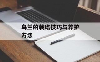 鸟兰的栽培技巧与养护方法