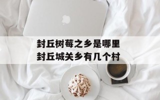封丘树莓之乡是哪里 封丘城关乡有几个村