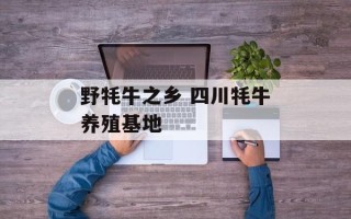 野牦牛之乡 四川牦牛养殖基地