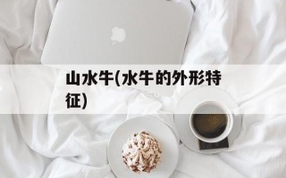 山水牛(水牛的外形特征)