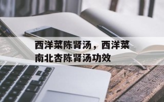 西洋菜陈肾汤，西洋菜南北杏陈肾汤功效