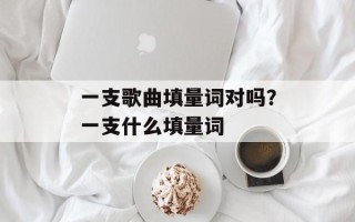 一支歌曲填量词对吗？一支什么填量词
