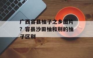 广西容县柚子之乡图片？容县沙田柚和别的柚子区别