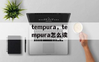 tempura，tempura怎么读