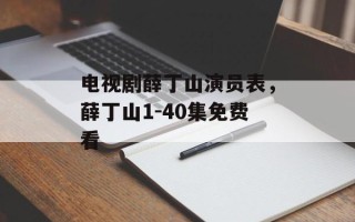 电视剧薛丁山演员表，薛丁山1-40集免费看
