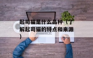起司猫是什么品种（了解起司猫的特点和来源）