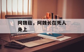 阿魏菇，阿魏长在死人身上