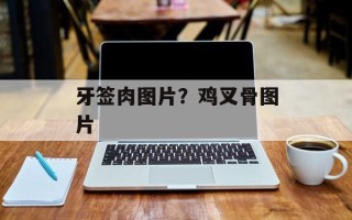 牙签肉图片？鸡叉骨图片