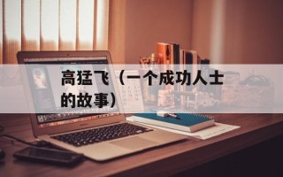 高猛飞（一个成功人士的故事）