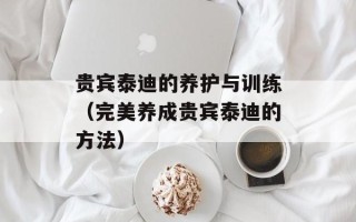 贵宾泰迪的养护与训练（完美养成贵宾泰迪的方法）