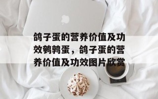 鸽子蛋的营养价值及功效鹌鹑蛋，鸽子蛋的营养价值及功效图片欣赏