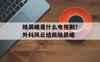 陆晨曦是什么电视剧？外科风云结局陆晨曦