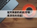 描写美丽的成语(形容美漂亮的词语)