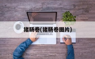 猪肠卷(猪肠卷图片)
