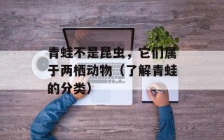 青蛙不是昆虫，它们属于两栖动物（了解青蛙的分类）