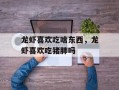 龙虾喜欢吃啥东西，龙虾喜欢吃猪肺吗
