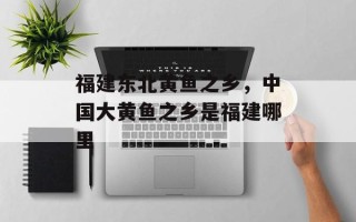 福建东北黄鱼之乡，中国大黄鱼之乡是福建哪里