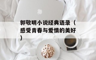 郭敬明小说经典语录（感受青春与爱情的美好）