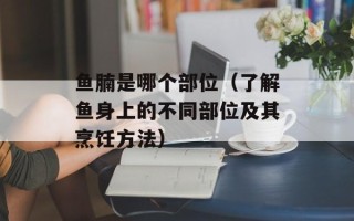 鱼腩是哪个部位（了解鱼身上的不同部位及其烹饪方法）