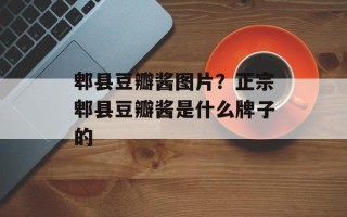 郫县豆瓣酱图片？正宗郫县豆瓣酱是什么牌子的