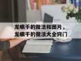 龙眼干的做法和图片，龙眼干的做法大全窍门