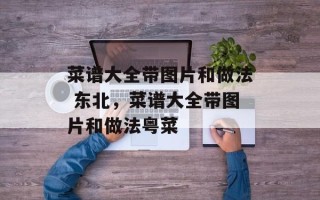 菜谱大全带图片和做法 东北，菜谱大全带图片和做法粤菜