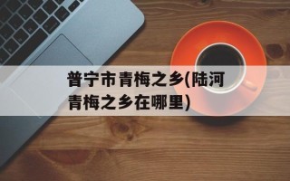 普宁市青梅之乡(陆河青梅之乡在哪里)