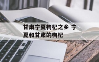 甘肃宁夏枸杞之乡 宁夏和甘肃的枸杞