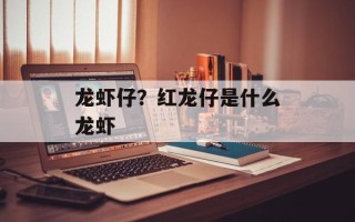 龙虾仔？红龙仔是什么龙虾