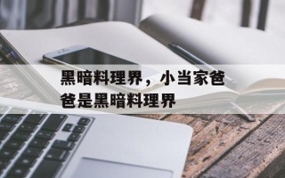 黑暗料理界，小当家爸爸是黑暗料理界