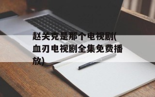 赵关克是那个电视剧(血刃电视剧全集免费播放)