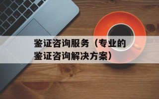 鉴证咨询服务（专业的鉴证咨询解决方案）