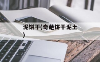 泥饼干(奇葩饼干泥土)