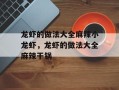 龙虾的做法大全麻辣小龙虾，龙虾的做法大全麻辣干锅