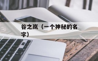 谷之岚（一个神秘的名字）