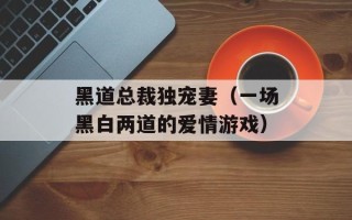 黑道总裁独宠妻（一场黑白两道的爱情游戏）