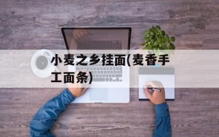 小麦之乡挂面(麦香手工面条)