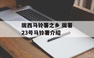 陇西马铃薯之乡 陇薯23号马铃薯介绍