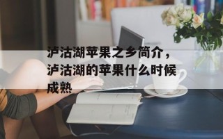 泸沽湖苹果之乡简介，泸沽湖的苹果什么时候成熟