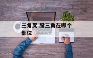 三角叉 股三角在哪个部位