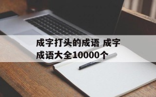 成字打头的成语 成字成语大全10000个