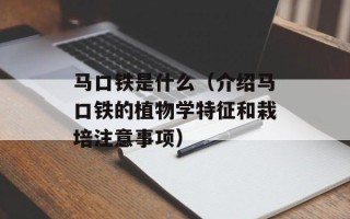 马口铁是什么（介绍马口铁的植物学特征和栽培注意事项）