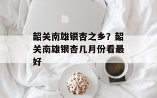 韶关南雄银杏之乡？韶关南雄银杏几月份看最好
