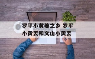 罗平小黄姜之乡 罗平小黄姜和文山小黄姜