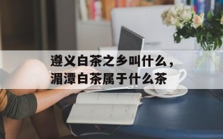 遵义白茶之乡叫什么，湄潭白茶属于什么茶