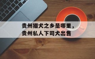 贵州猎犬之乡是哪里，贵州私人下司犬出售